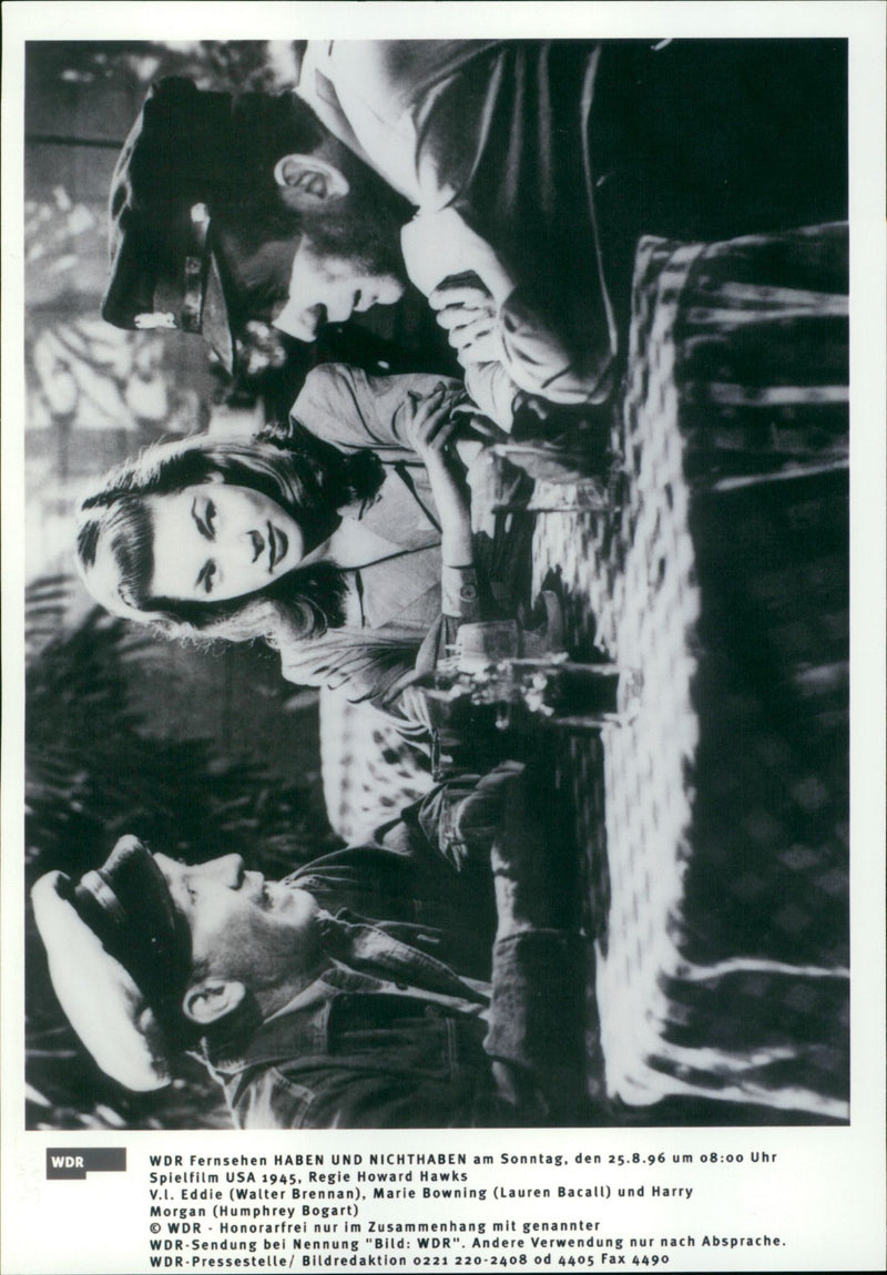 To Have and to Have Not - Vintage Photograph