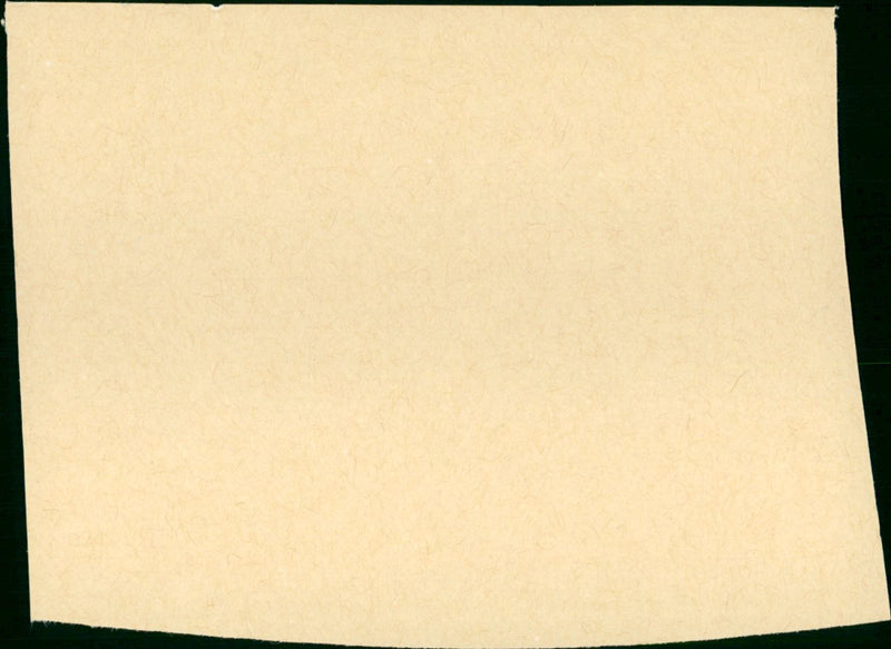 The Lavender Hill Mob - Vintage Photograph