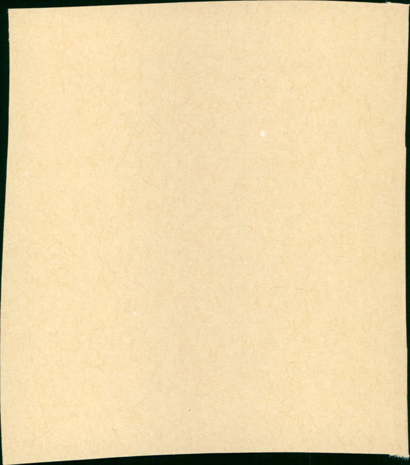 De gevangene - Vintage Photograph