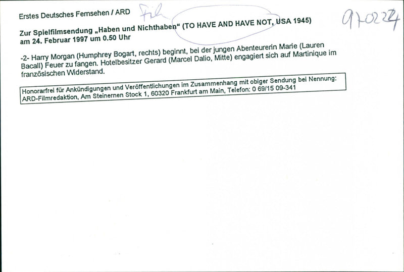 To Have and Have Not - Vintage Photograph