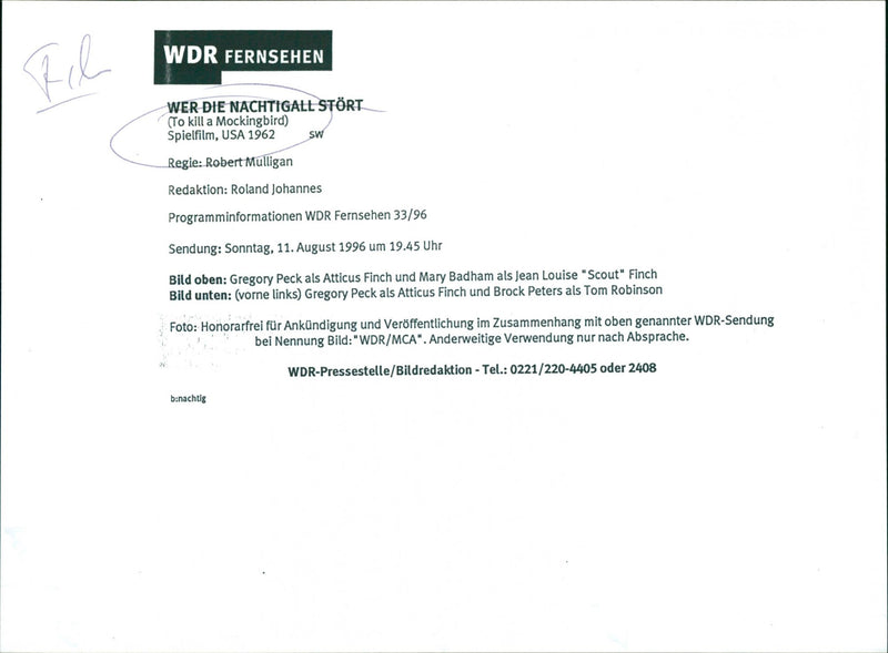 To kill a mockingbird - Vintage Photograph