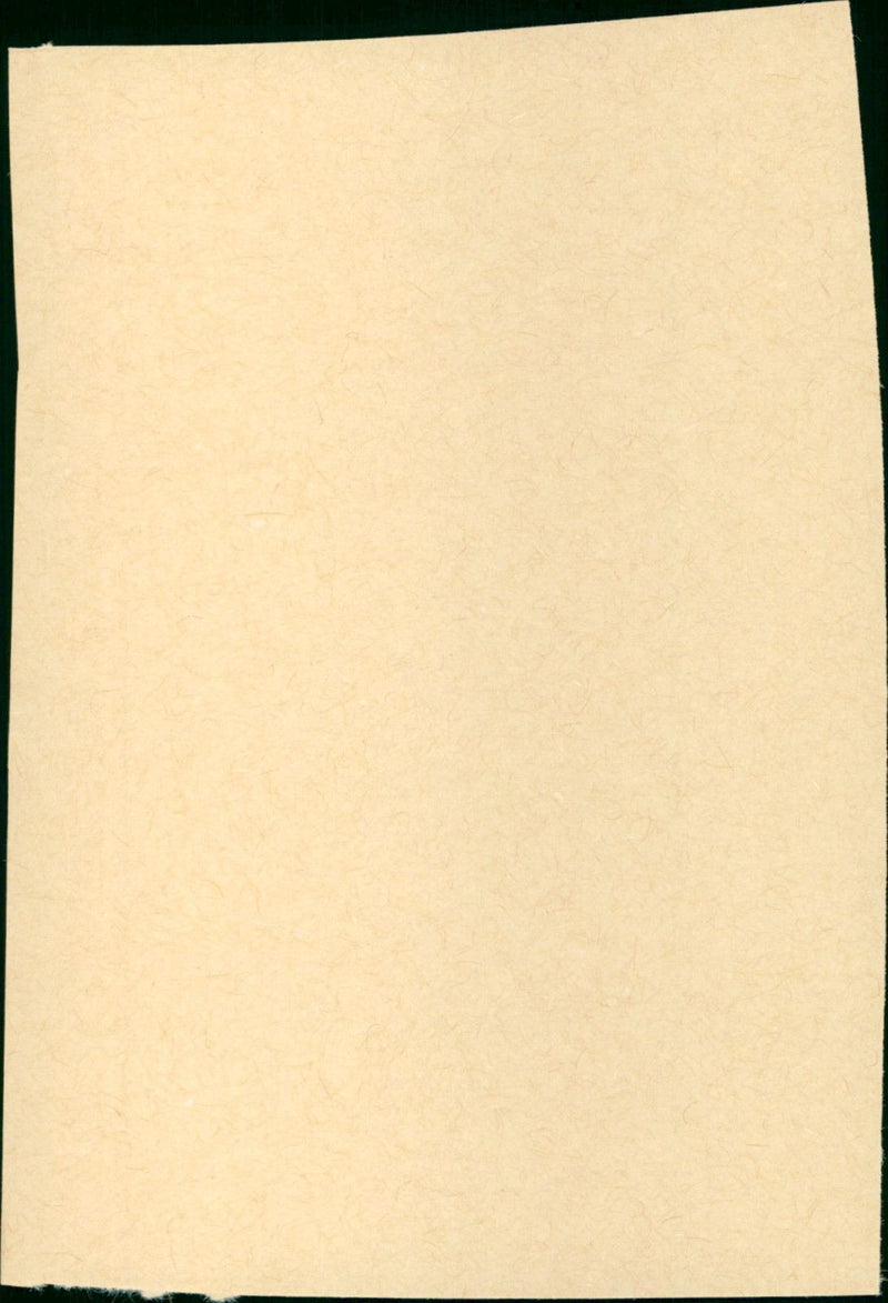 Gefundenes Fressen - Vintage Photograph