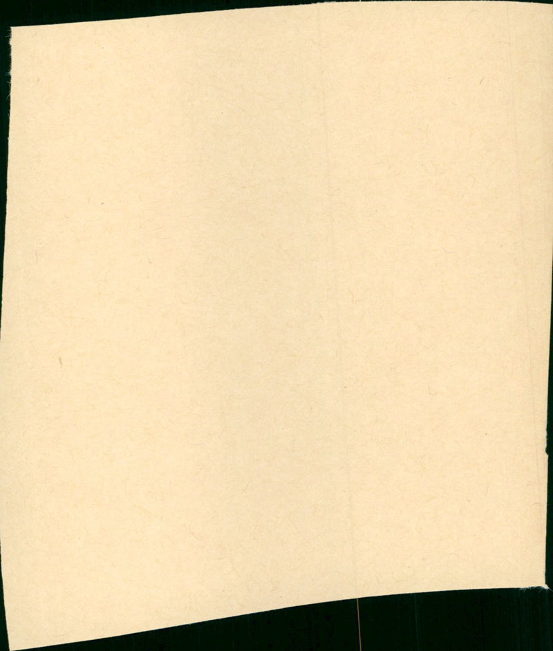 The Girl Hunters - Vintage Photograph