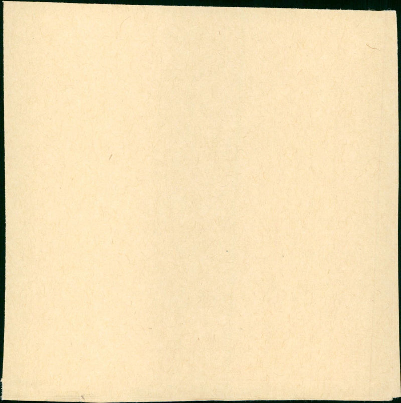 Das weite Land - Vintage Photograph