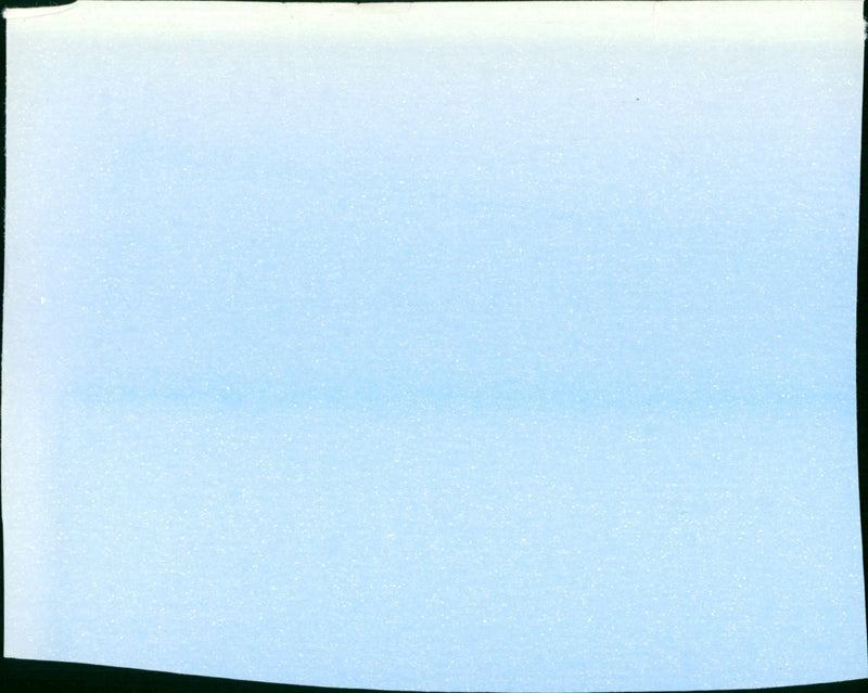 Compagni di scuola - Vintage Photograph