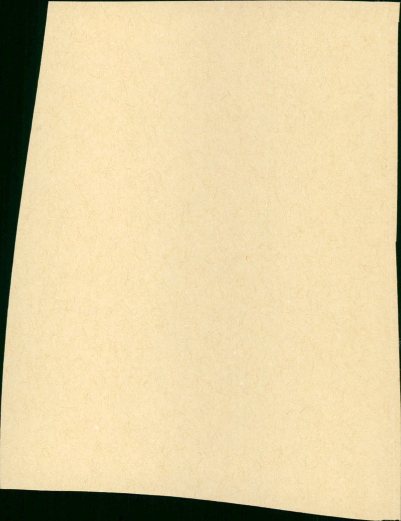 Cowboy - Vintage Photograph