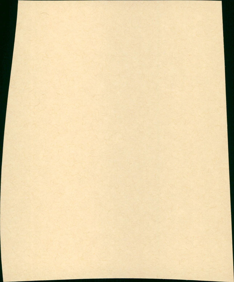 Le Couturier de ces dames - Vintage Photograph