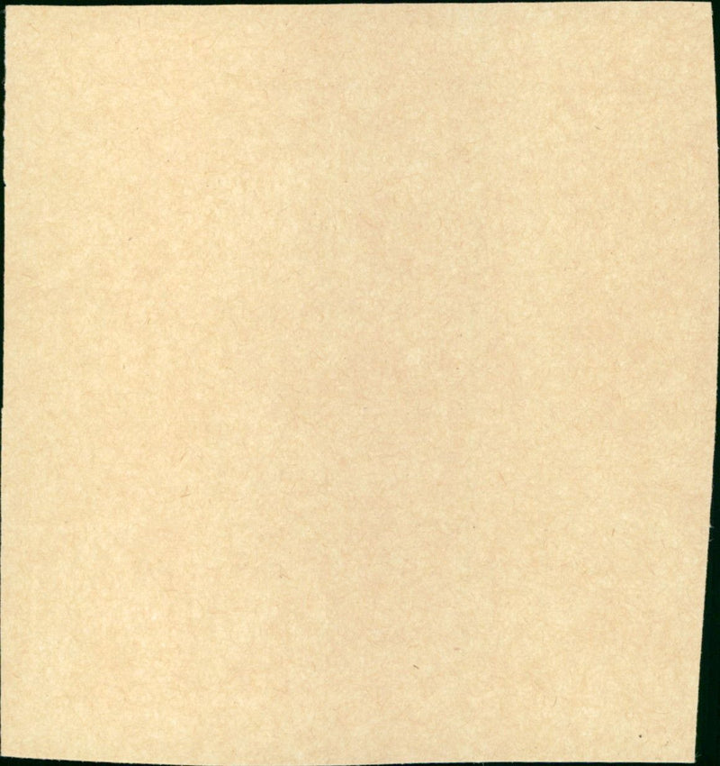 Funny Girl - Vintage Photograph