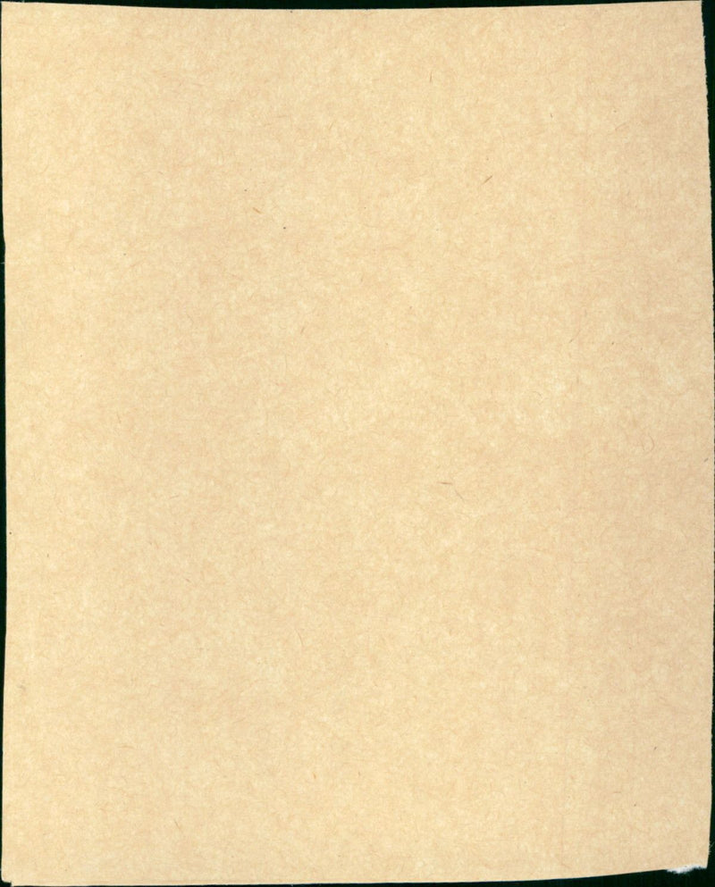 Funny Lady - Vintage Photograph