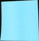 The Chef - Vintage Photograph