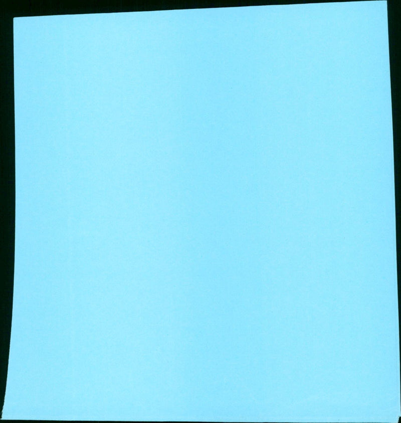 The Chef - Vintage Photograph