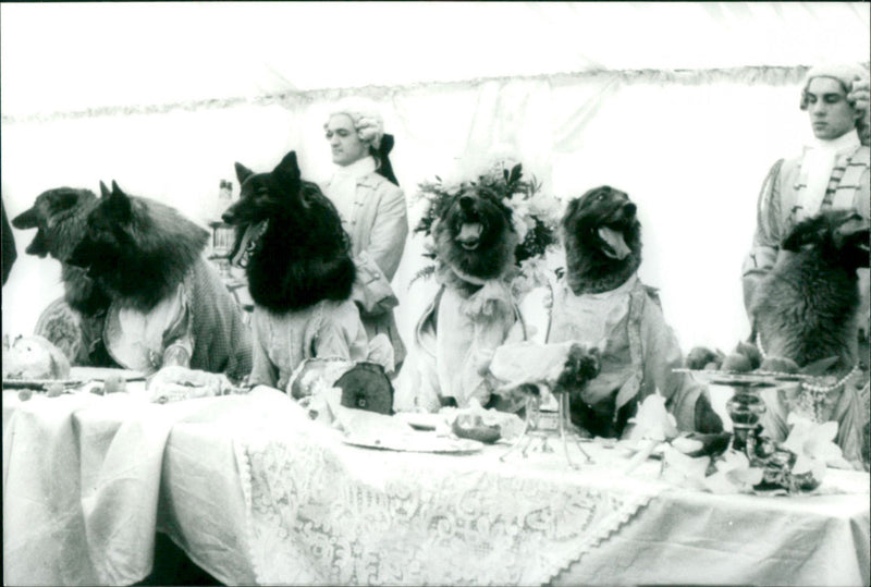 The Company of Wolves - Vintage Photograph
