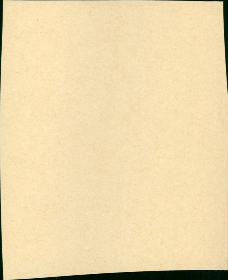 The Cowboys - Vintage Photograph