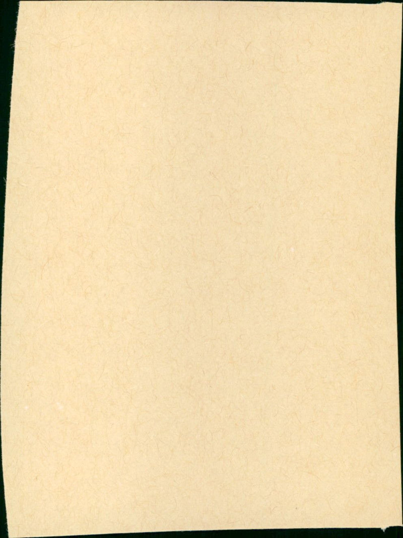 The Fury - Vintage Photograph