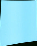 The Cowboy and the Lady - Vintage Photograph