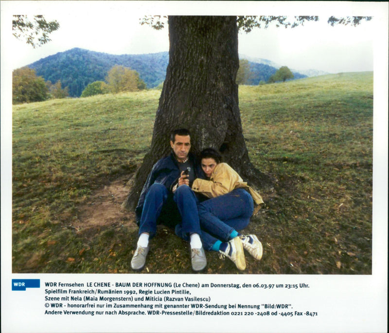 Le Chene - Vintage Photograph