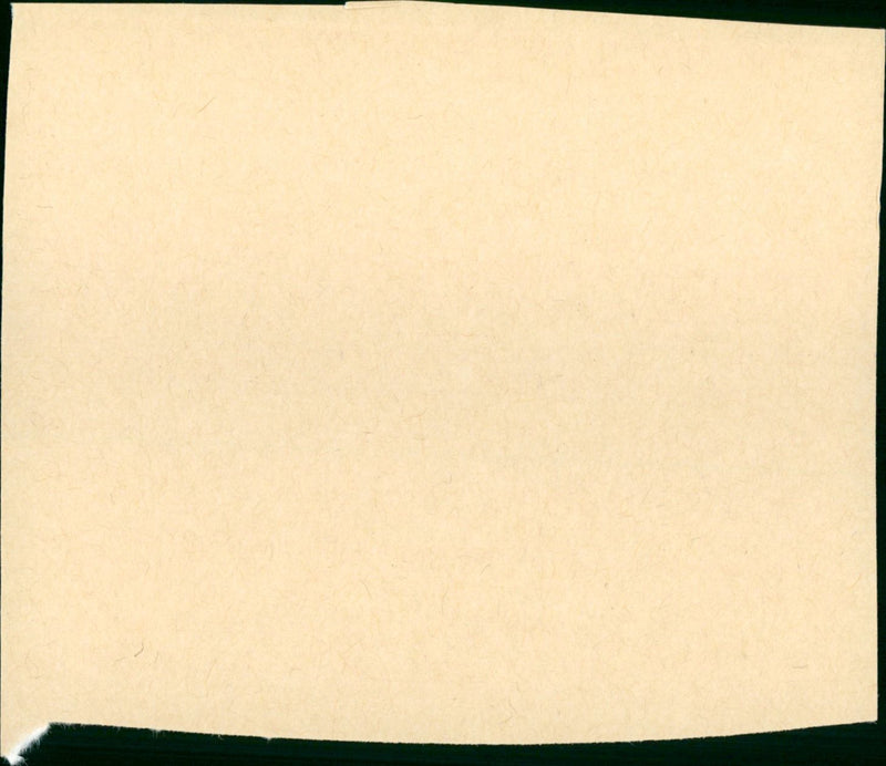 Leave Her to Heaven - Vintage Photograph