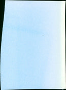 The Fuzzy Pink Nightgown - Vintage Photograph