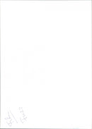 Fuzz - Vintage Photograph