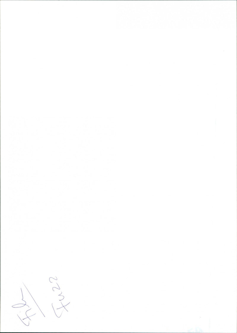 Fuzz - Vintage Photograph