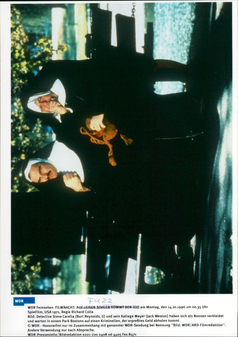 Fuzz - Vintage Photograph