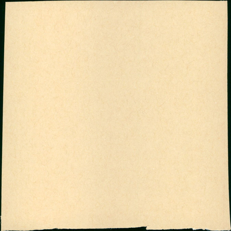 There Was a Crooked Man - Vintage Photograph