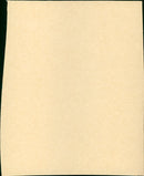 Gentlemen Marry Brunettes - Vintage Photograph