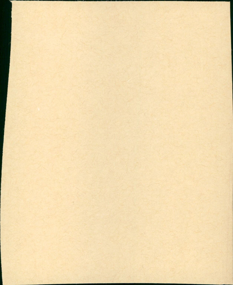 Gentlemen Marry Brunettes - Vintage Photograph