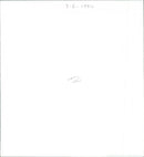 Gentlemen Marry Brunettes - Vintage Photograph