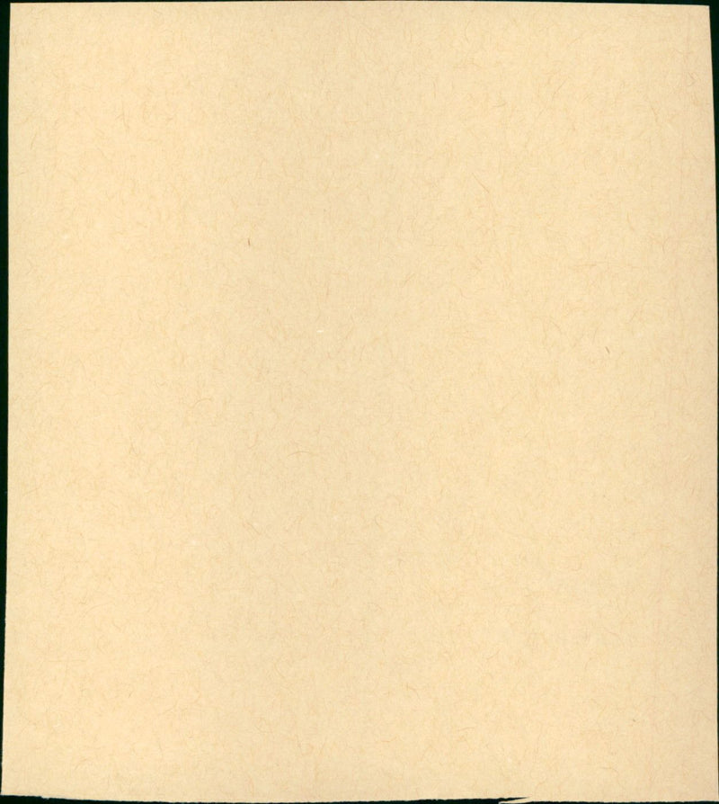 These Three - Vintage Photograph