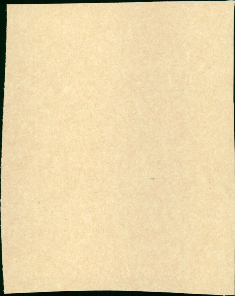 Leedvermaak - Vintage Photograph