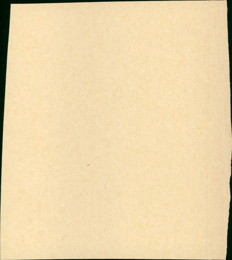 Cría Cuervos - Vintage Photograph