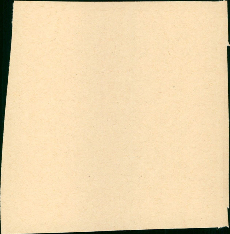 The Cage / {De gevangenis} film - Vintage Photograph