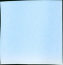 Them - Vintage Photograph