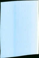 Go fight city hall to the death - Vintage Photograph