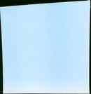 A Test of love - Vintage Photograph