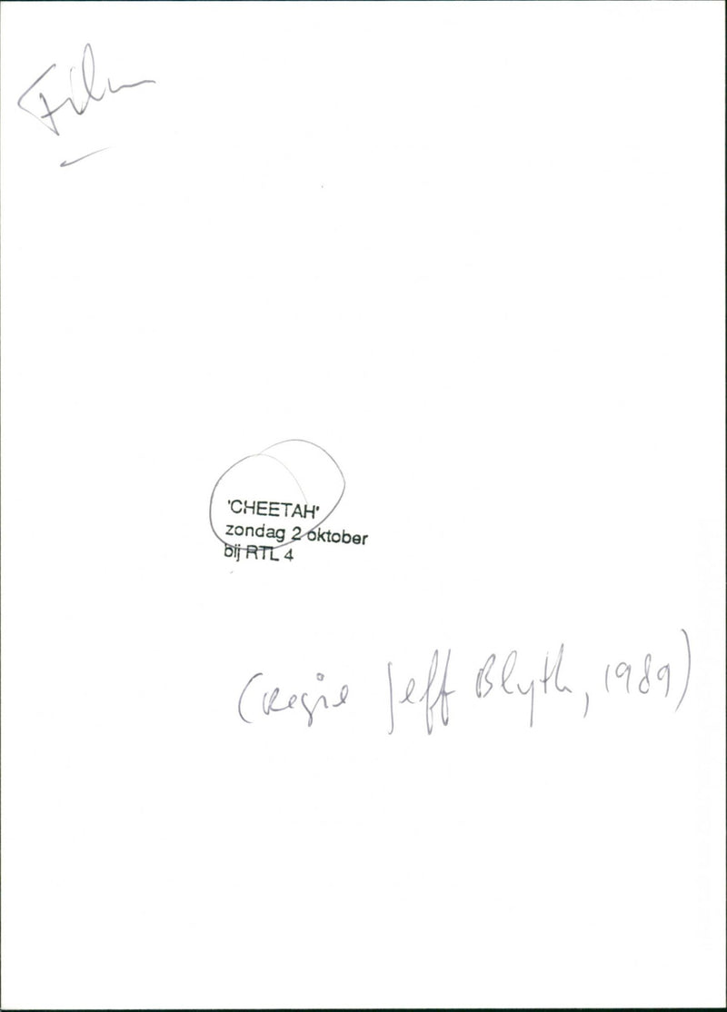 Cheetah - Vintage Photograph