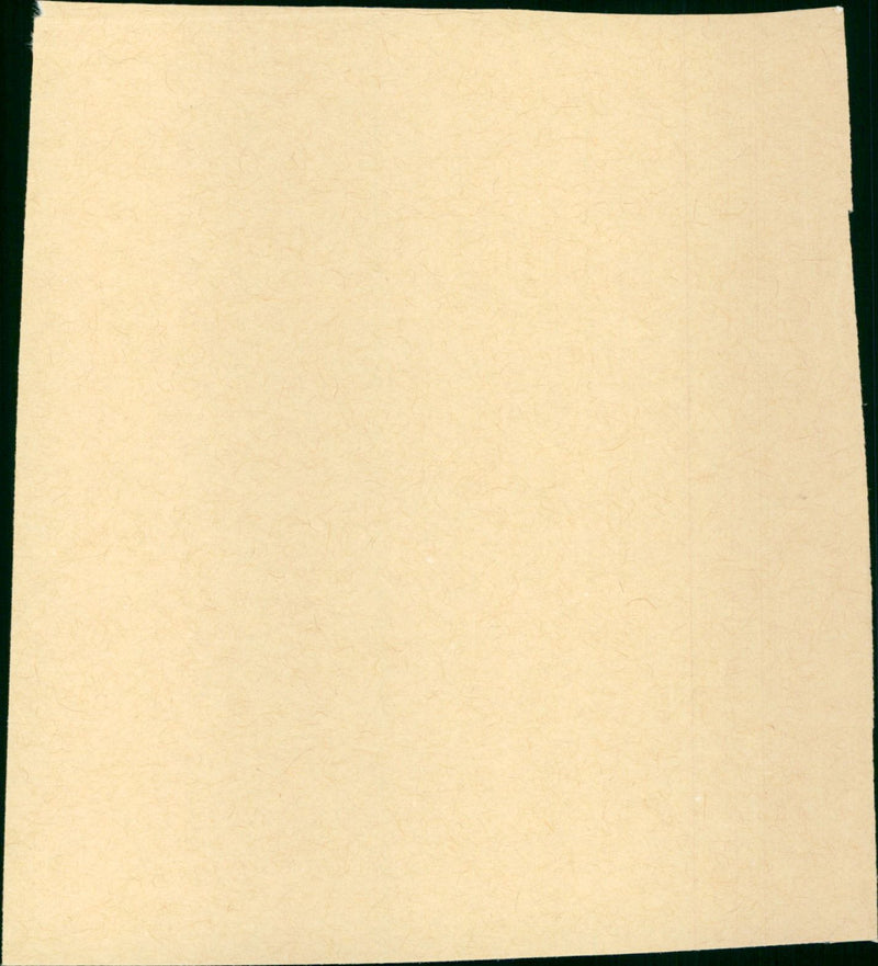 Texas Addios - Vintage Photograph