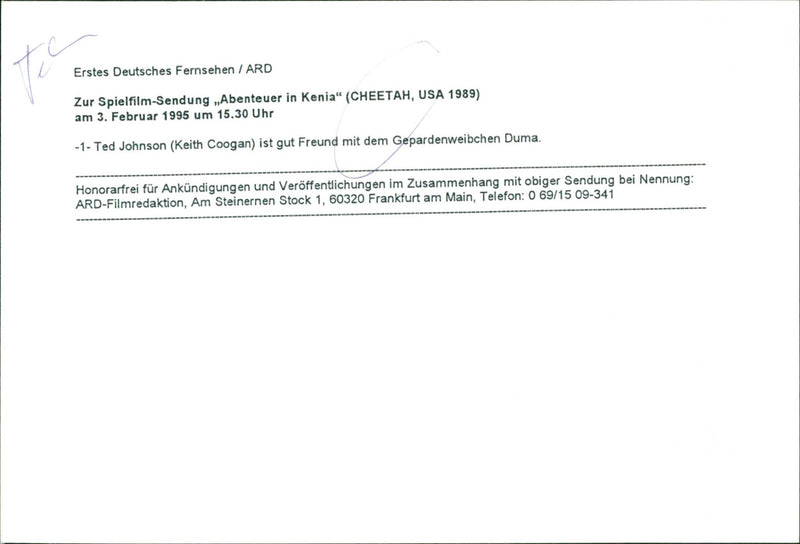 Cheetah - Vintage Photograph