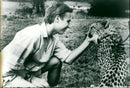 Cheetah - Vintage Photograph