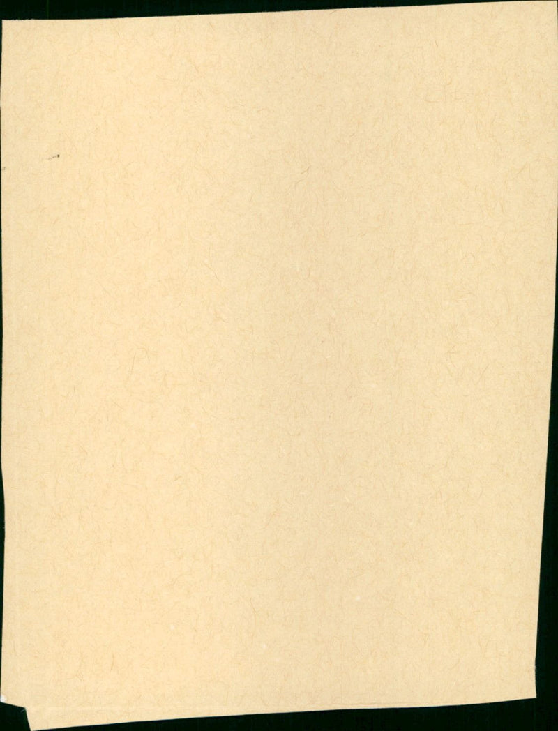 The Crimson Pirate - Vintage Photograph