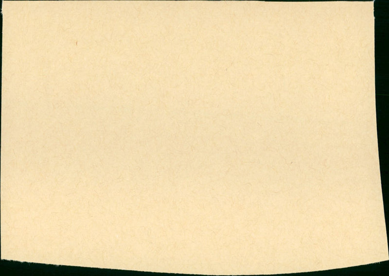 The Law and Jake Wade - Vintage Photograph