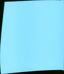 Lenny - Vintage Photograph