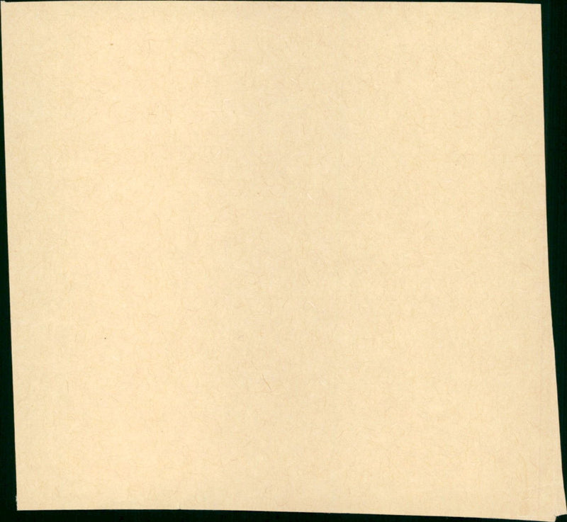 Cheetah - Vintage Photograph