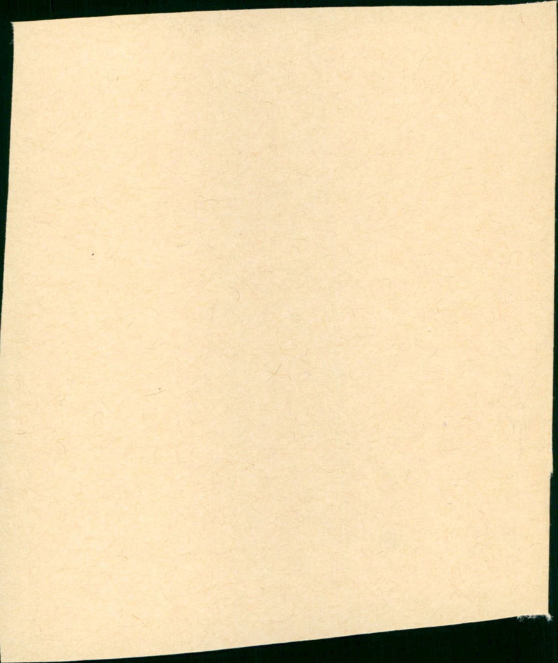 Go Toward the Light - Vintage Photograph