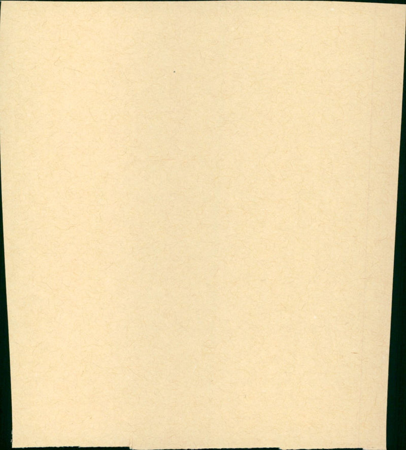 That's Entertainment - Vintage Photograph