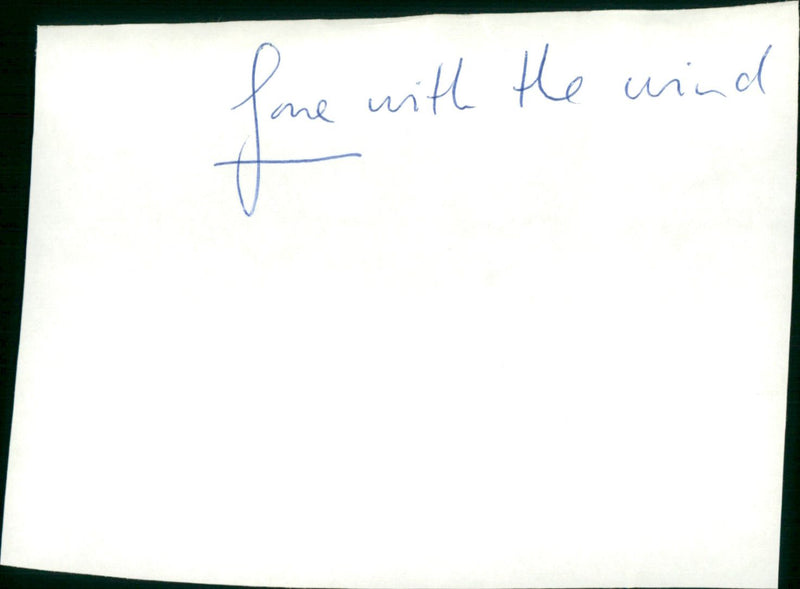 Gone with the Wind - Vintage Photograph