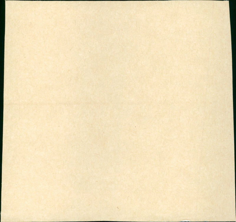 Tough guys - Vintage Photograph