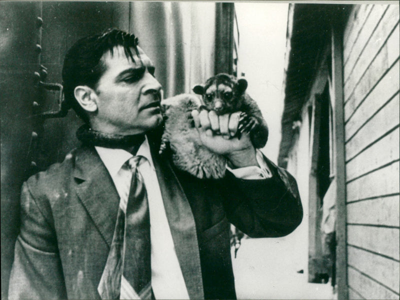 Der zäheste Raufbold( Toughest man alive) - Vintage Photograph