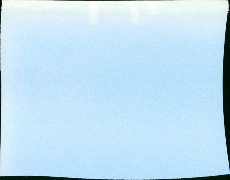 A League of Their Own - Vintage Photograph